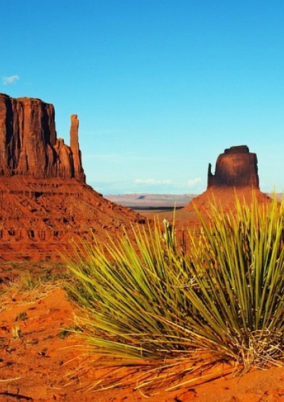 PARCHI STATI UNITI OVEST,...