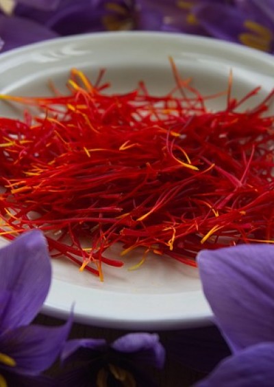 ABRUZZO tra FOLIAGE,...