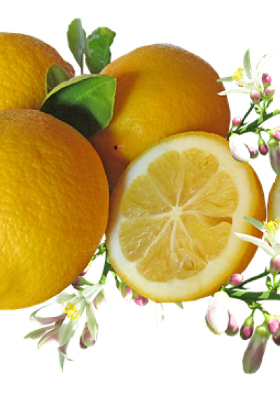 SICILIA IN TOUR 03/06