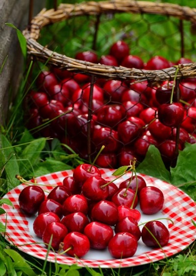 OFFERTA 2x1 VIGNOLA Festa...