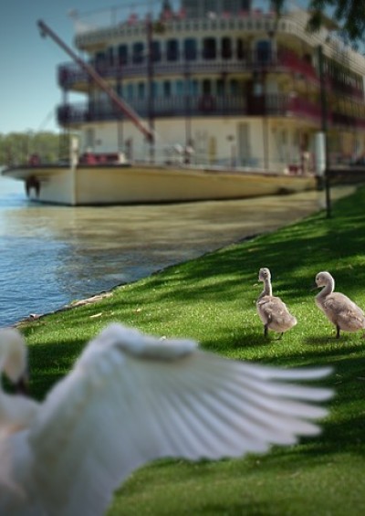 MANTOVA & NAVIGAZIONE sul...