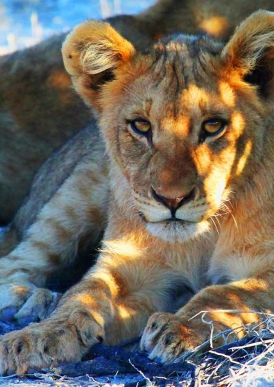 NAMIBIA IN TOUR GIUGNO...