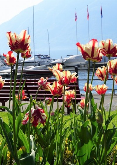 LAGO MAGGIORE & Isole...